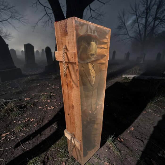 Doodskist hout met monster - Afbeelding 2