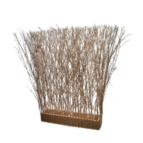 bamboohedge