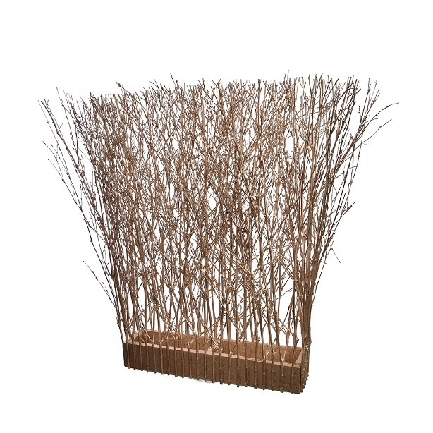 bamboohedge