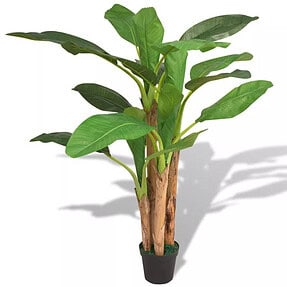 bananenboom