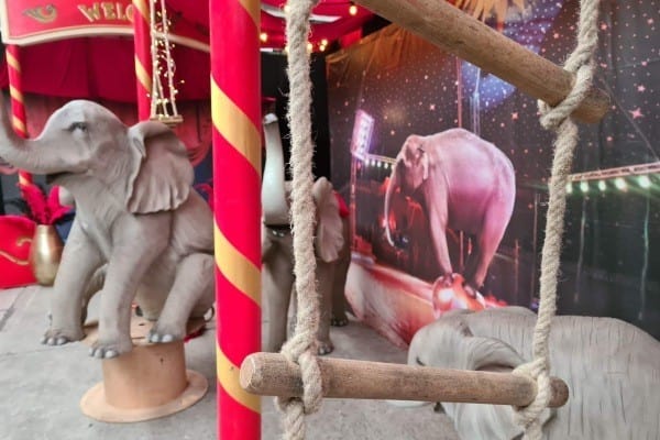 carousel thema circus 