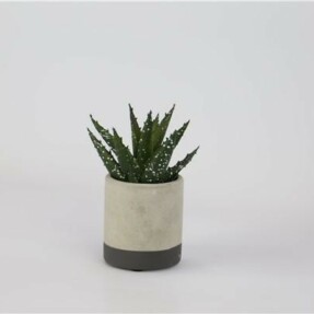 cementplanter