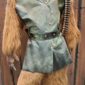 chewbaccastof  rotated 
