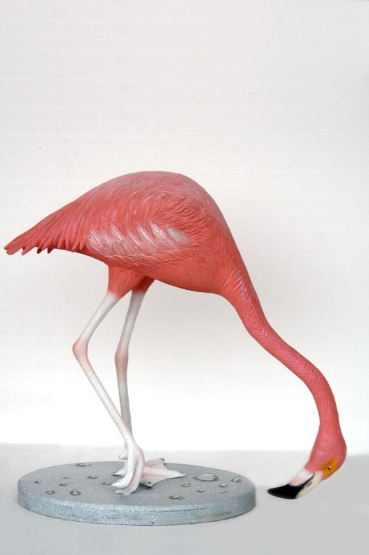 flamingoheaddown