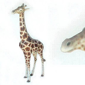 giraffe