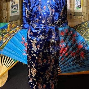 kimonoblauwdraak