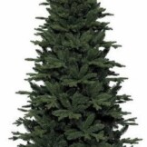 kunstkerstboomfrasierpine