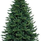 kunstkerstboomkensingtonspruce