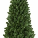 kunstkerstboomnewfoundland