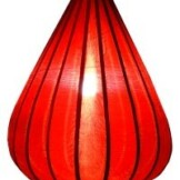 lampionzijderoodgroot