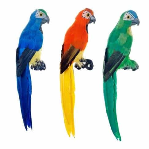 papegaai