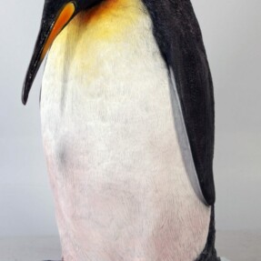 pinguinopijsschots e