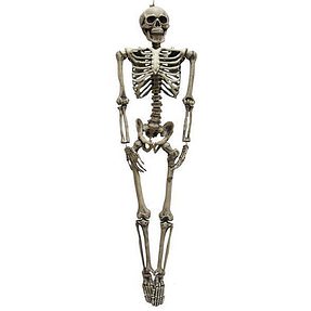 skeletcm