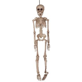 skeletcm