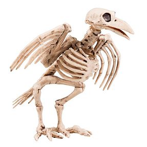 skeletkraai