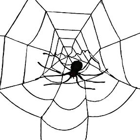 spinnenwebzwart