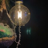 terrariumglasdruppel