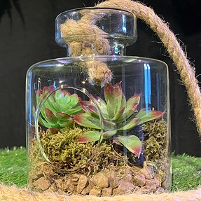 terrariumglasvierkant