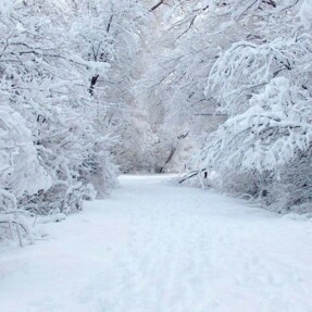 Winter wonderland