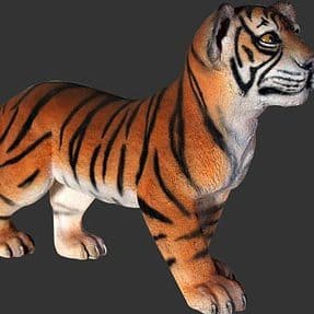 tigercubstanding