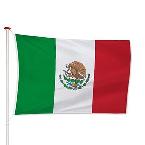 vlagmexico