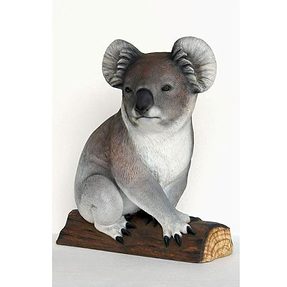 koala