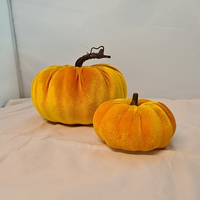 Pumpkin velvet