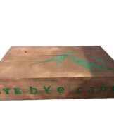 Dino spel 4 - Afbeelding 2