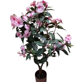 Pot met bloemen roos