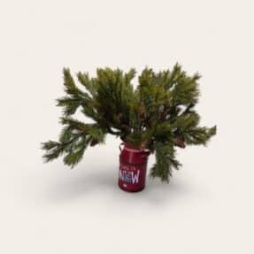 Melkkan rood met takken