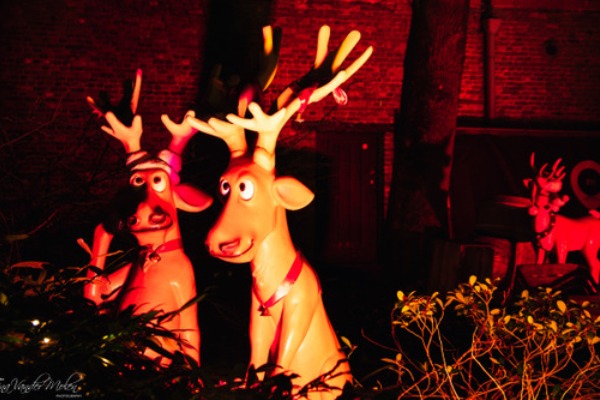 sliderkerstnieuw-004
