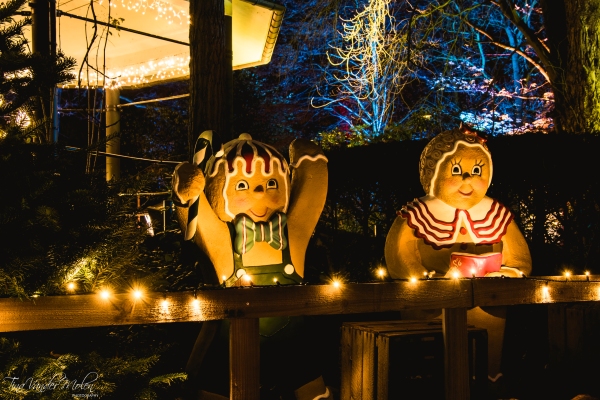 sliderkerstnieuw-005