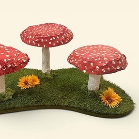 Paddenstoelen set