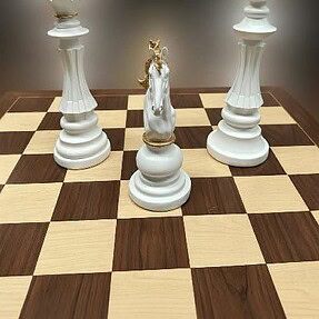 Schaakspel groot