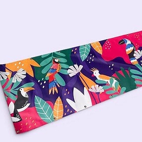 Spandoek Tropical