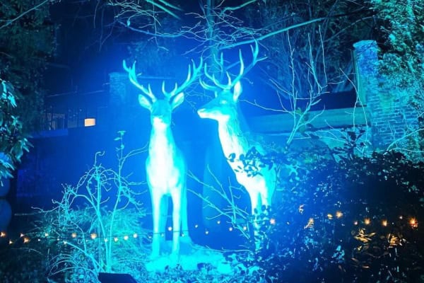 sliderwinterwonderlandnieuw-004
