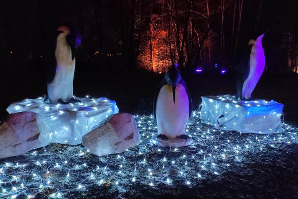 sliderwinterwonderlandnieuw-007